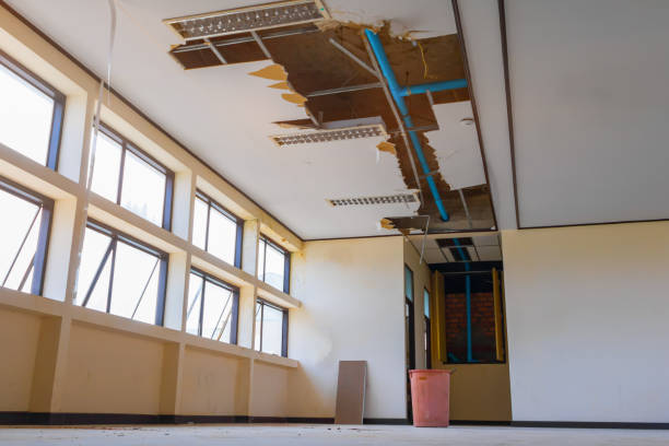Best Carpet water damage restoration  in Tracy, MN