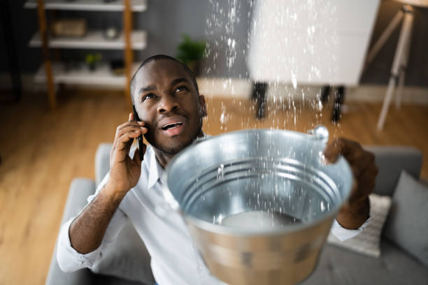 Best Flooded house restoration  in Tracy, MN