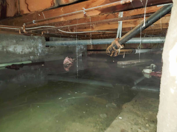 Best Residential water damage restoration  in Tracy, MN