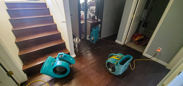Best Emergency water damage restoration  in Tracy, MN