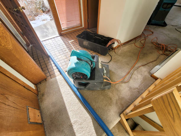 Best 24-hour water damage restoration  in Tracy, MN