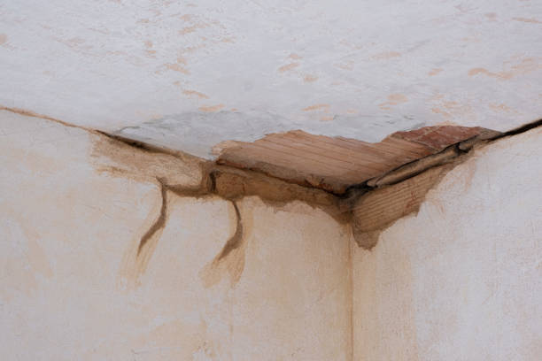 Best Flood restoration services  in Tracy, MN