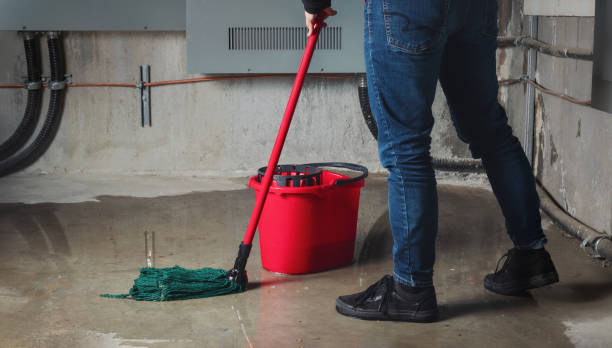 Best Water damage cleanup near me  in Tracy, MN