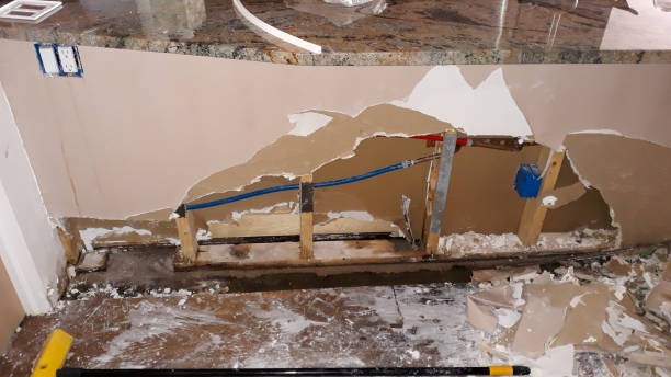 Best Mold removal after water damage  in Tracy, MN