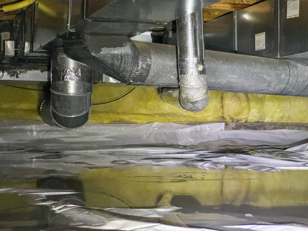 Best Water damage restoration cost  in Tracy, MN